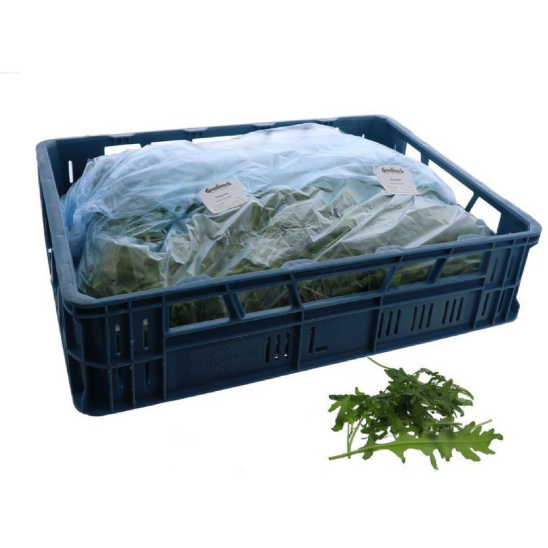 ROQUETTE VRAC 1KG